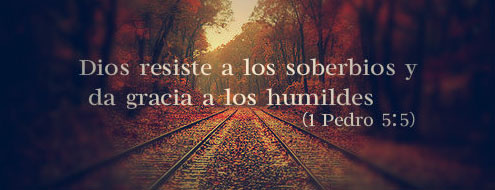 tumblr_mgwnie0WON1rd8z1zo1_500